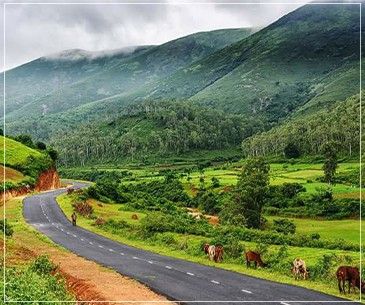 NATURE TOUR IN ODISHA
